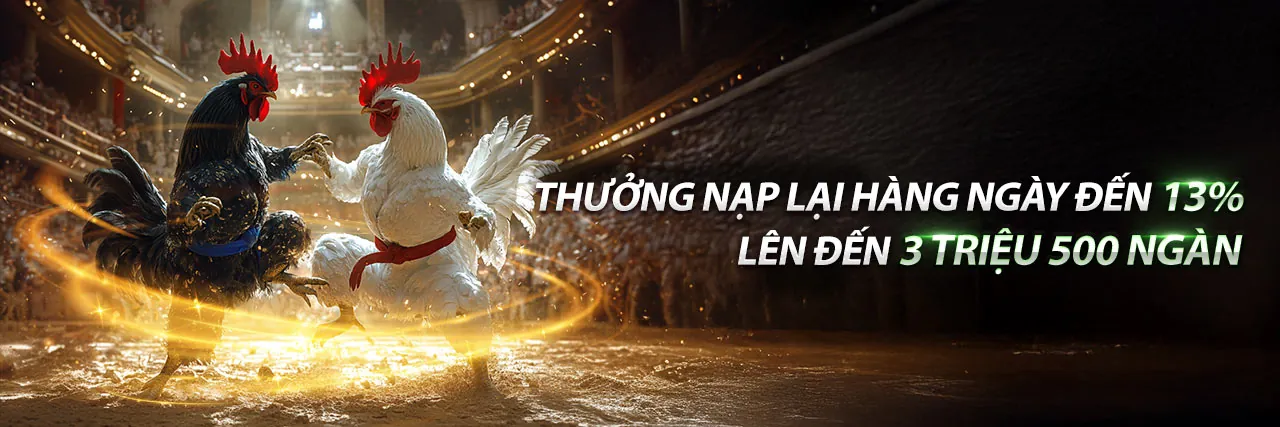 Banner khuyến mãi đá gà Thomo bình luận 2026