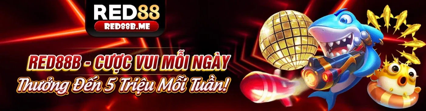 Cộng đồng người hâm mộ đá gà Thomo đang thảo luận