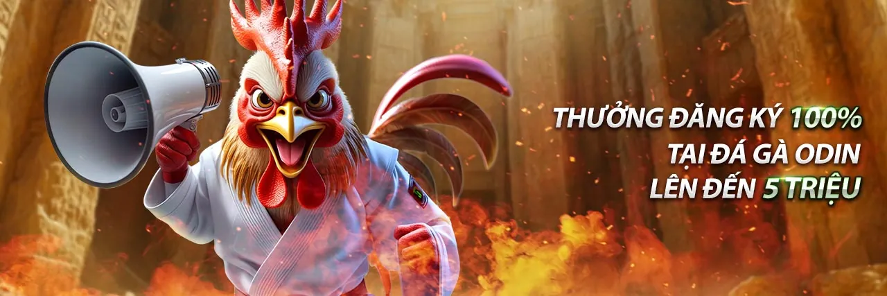 Chuyên gia phân tích đá gà Thomo bình luận