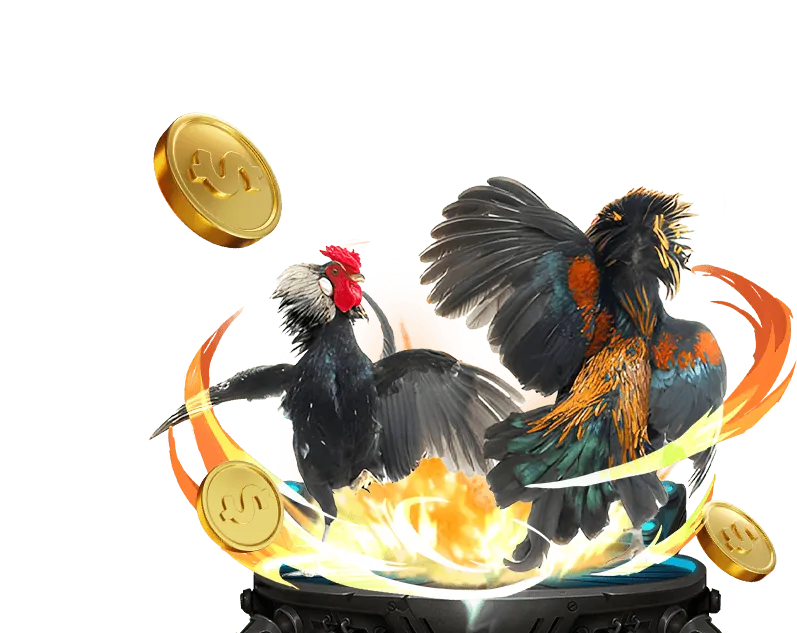 Nền tảng xem đá gà Thomo trực tiếp uy tín